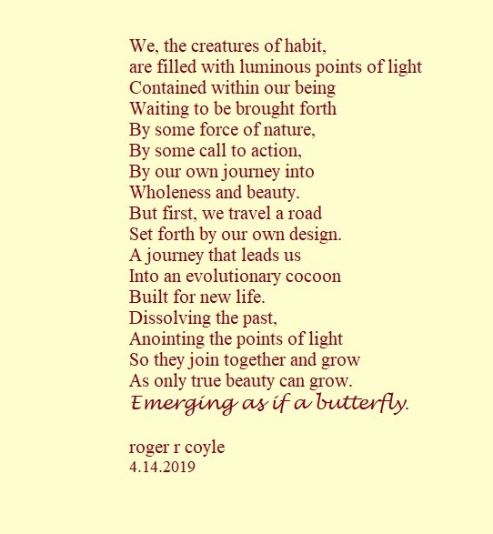 Emerging as if a butterfly (2)