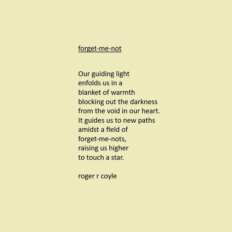 forget-me-not